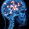 Έλληνας επιστήμονας αποκωδικοποίησε τα νευρικά σήματα του ανοσοποιητικού συστήματος προς τον εγκέφαλο