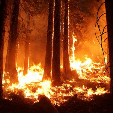 Ο ΙΣΑ κάνει έκκληση να παραμείνουν ανοιχτά τα ιατρεία των περιοχών που επλήγησαν από τις πυρκαγιές