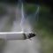 Έρευνα: Kαλύτερες επιλογές για τους καπνιστές, ζητά το το 77% των ενηλίκων