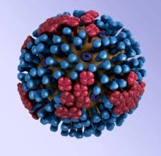 Το πρώτο θύμα της γρίπης – Τι αναφέρει το ΚΕΕΛΠΝΟ
