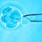 Εμβρυομεταφορά: Ποια είναι η κατάλληλη χρονική στιγμή για την εκτέλεσή της