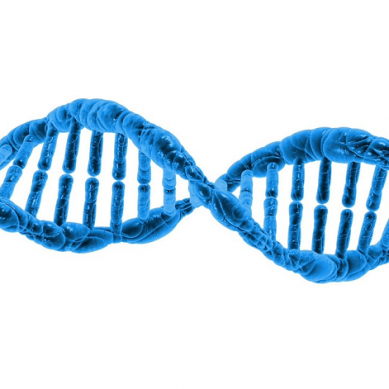 Στην οργάνωση του DNA μας κρύβεται η προδιάθεση για την εμφάνιση ασθενειών;
