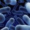 Ανακαλύφθηκε νέα ένωση που «σκοτώνει» ανθεκτικά μικρόβια